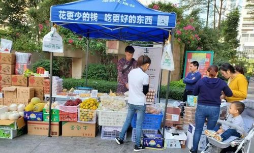 社區(qū)團(tuán)購(gòu)競(jìng)爭(zhēng)回歸理性